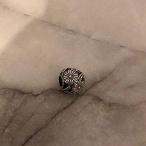Pandora charm